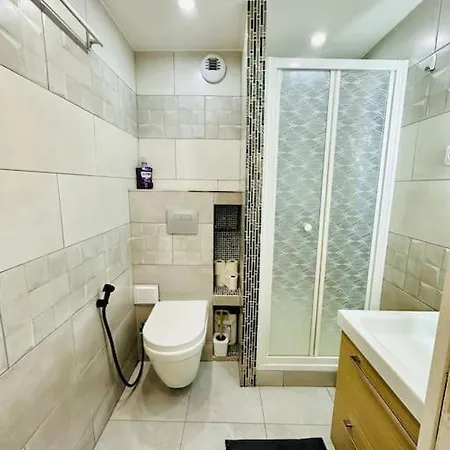 Stylish Modern