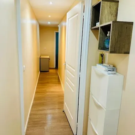 Stylish Modern *